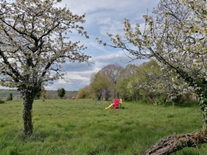 Het ruime terrein van de boerderijcamping